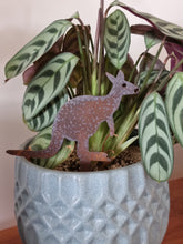 Load image into Gallery viewer, Wombat, Kangaroo &amp; Echidna Pot Plant Stake Set
