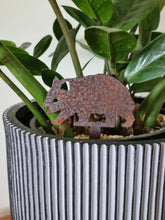 Load image into Gallery viewer, Wombat, Kangaroo &amp; Echidna Pot Plant Stake Set

