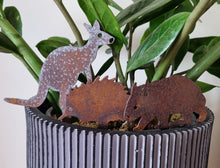 Load image into Gallery viewer, Wombat, Kangaroo &amp; Echidna Pot Plant Stake Set
