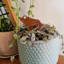 Load image into Gallery viewer, Frog Pot Plant Stake
